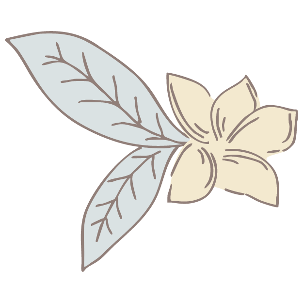 One hand-drawn cream flower with two soft blue-gray leaves