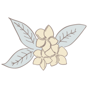 Trio of hand-drawn flowers with soft blue-gray leaves and cream blossoms on a transparent background