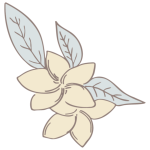 Hand-drawn floral cluster with soft blue-gray leaves and cream blossoms on a transparent background